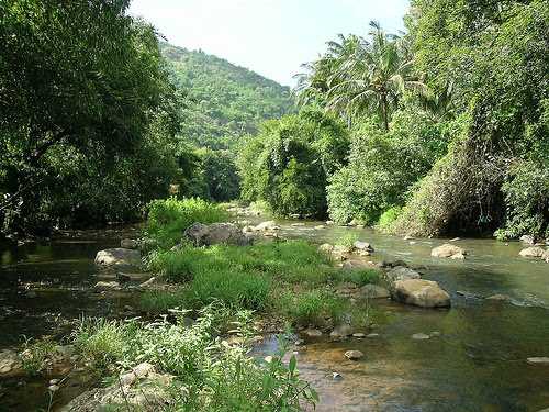 placeimg