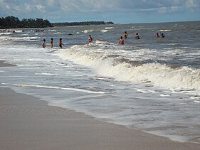 placeimg