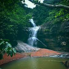 placeimg