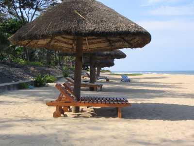 placeimg