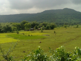 placeimg