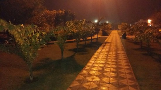placeimg