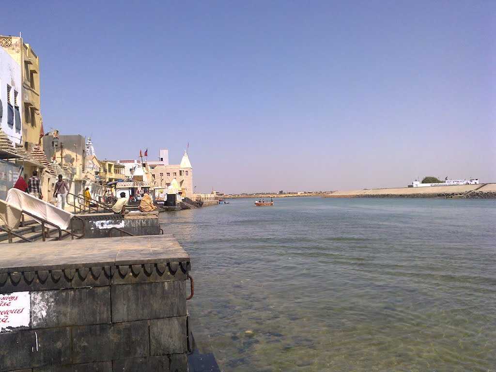 placeimg