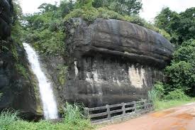 placeimg