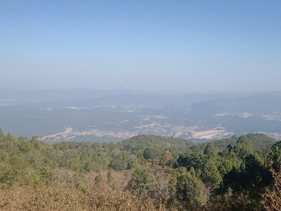 placeimg