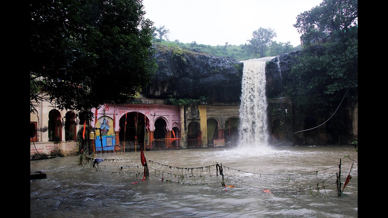placeimg