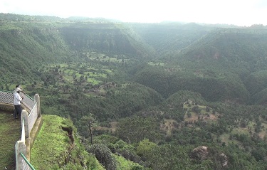 placeimg