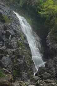 placeimg