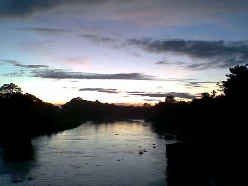placeimg