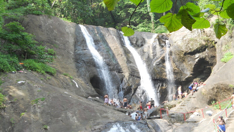 placeimg