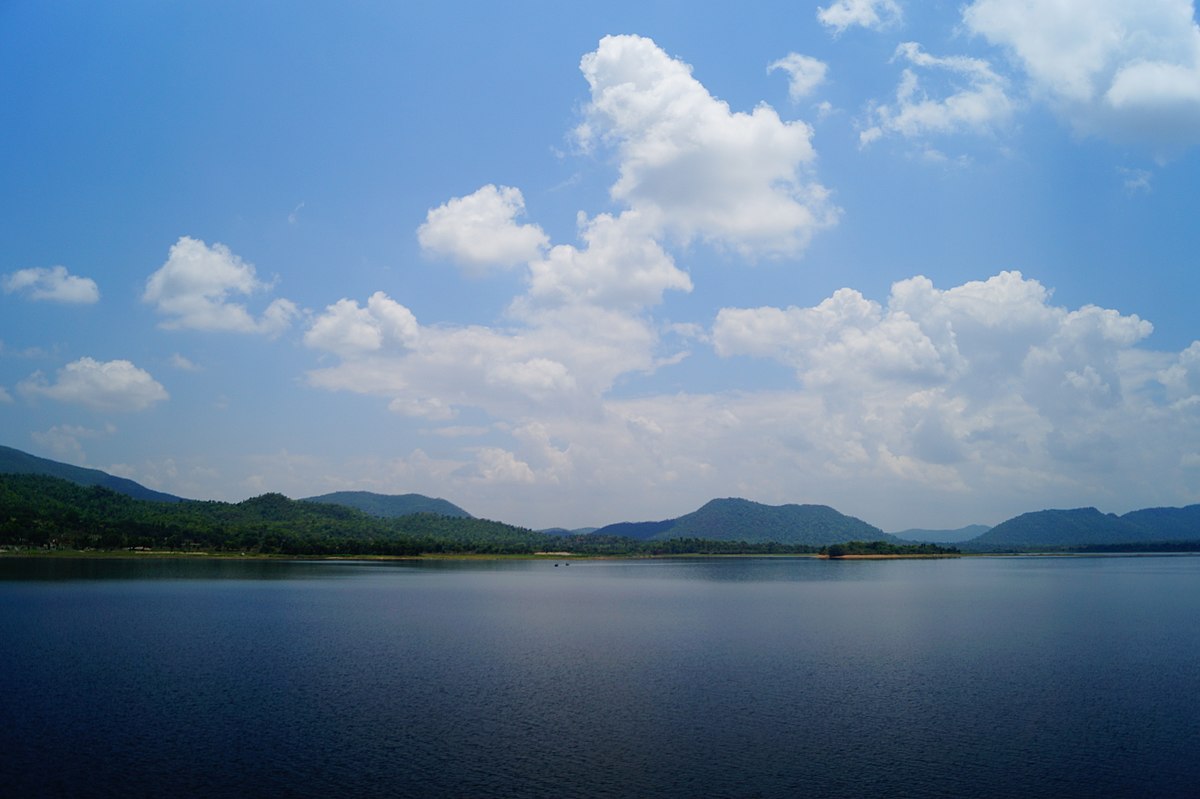 placeimg