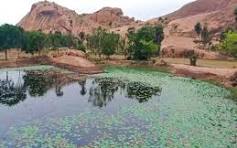 placeimg