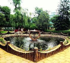 placeimg