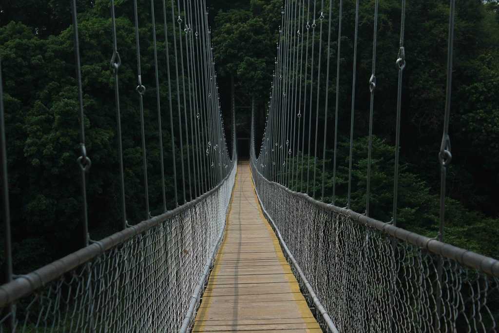placeimg