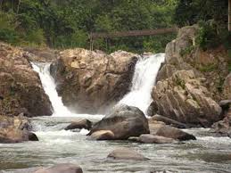 placeimg