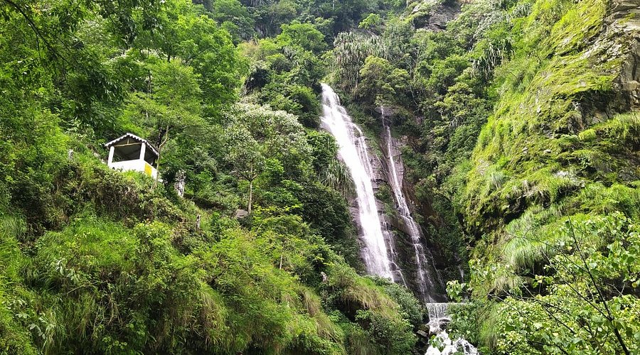 placeimg