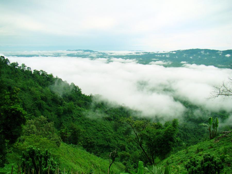 placeimg