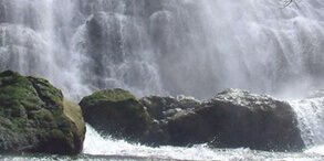 placeimg
