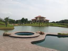 placeimg