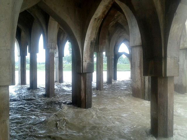 placeimg