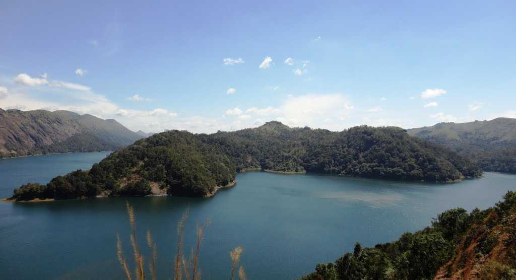 placeimg