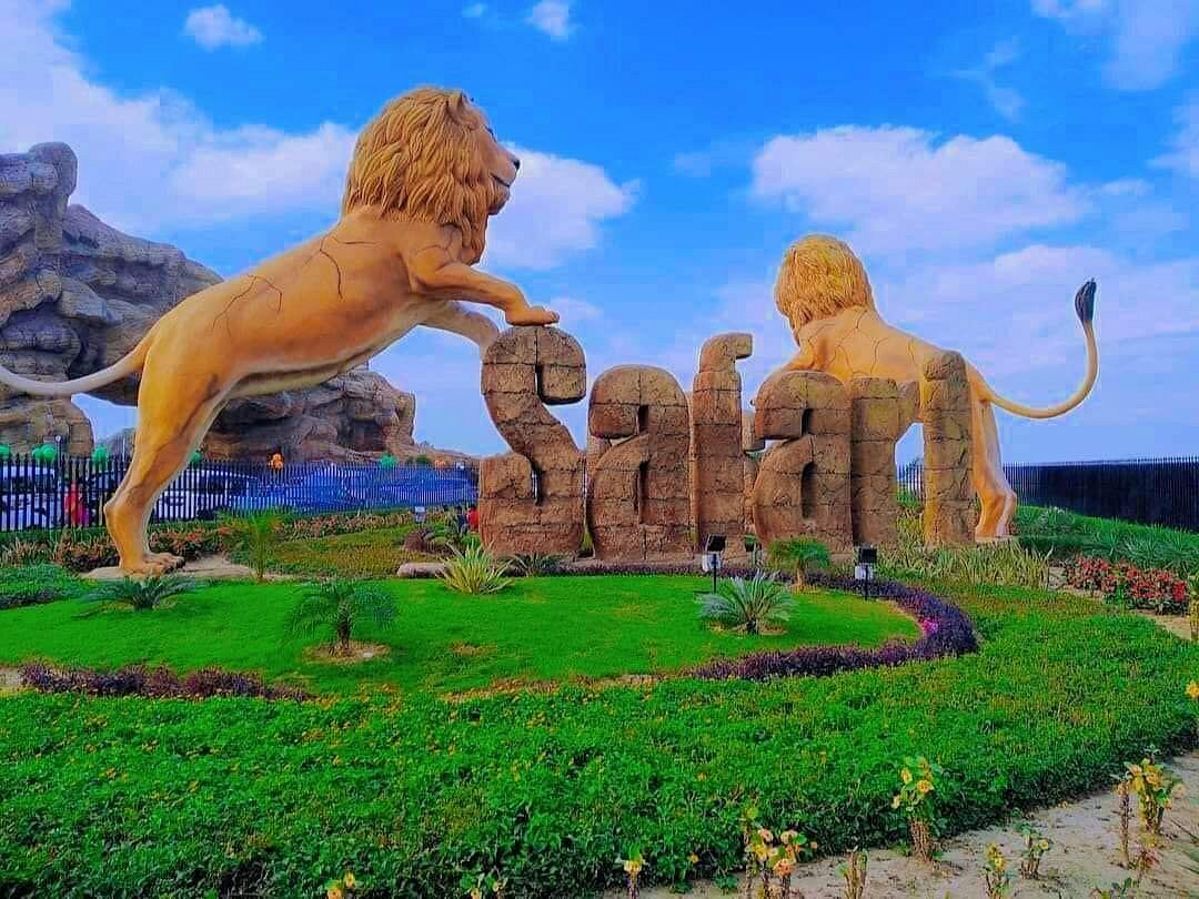 placeimg