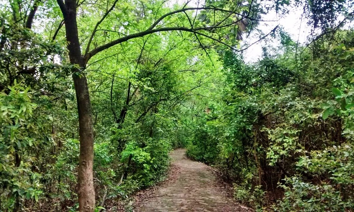 placeimg
