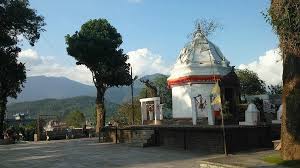 placeimg