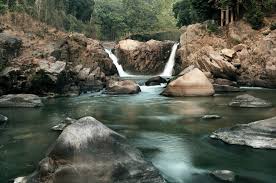 placeimg