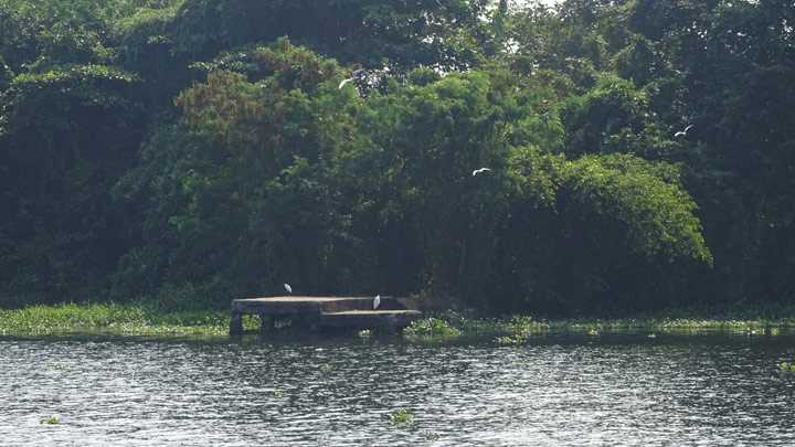 placeimg