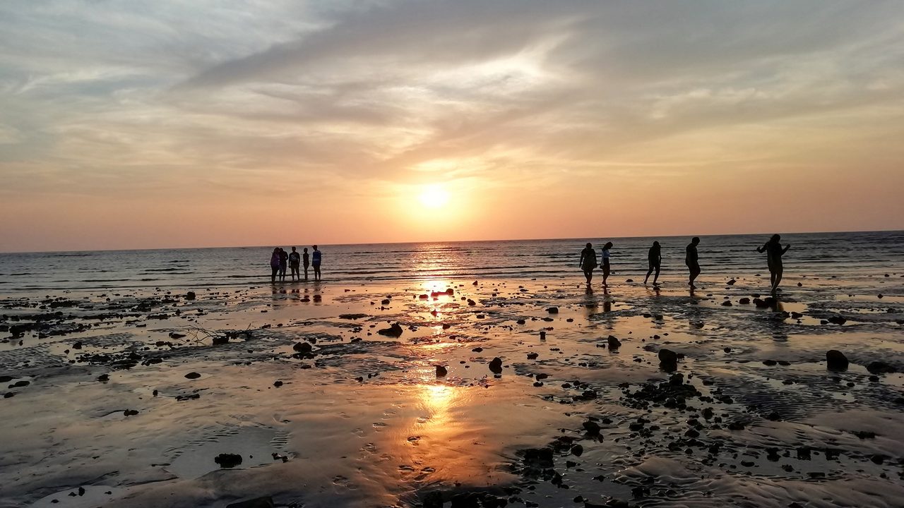 placeimg