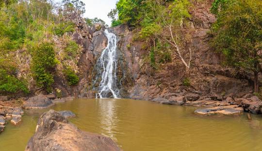 placeimg