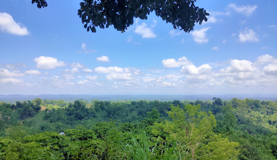 placeimg