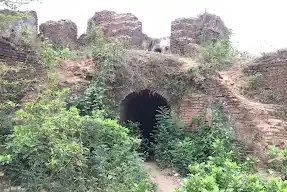 placeimg