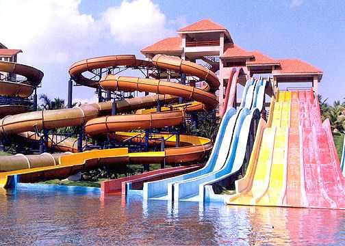 placeimg