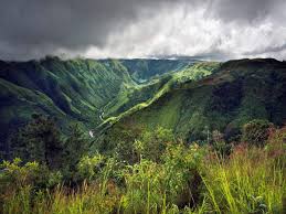 placeimg