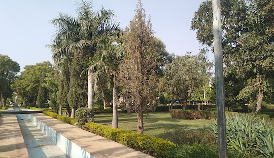 placeimg