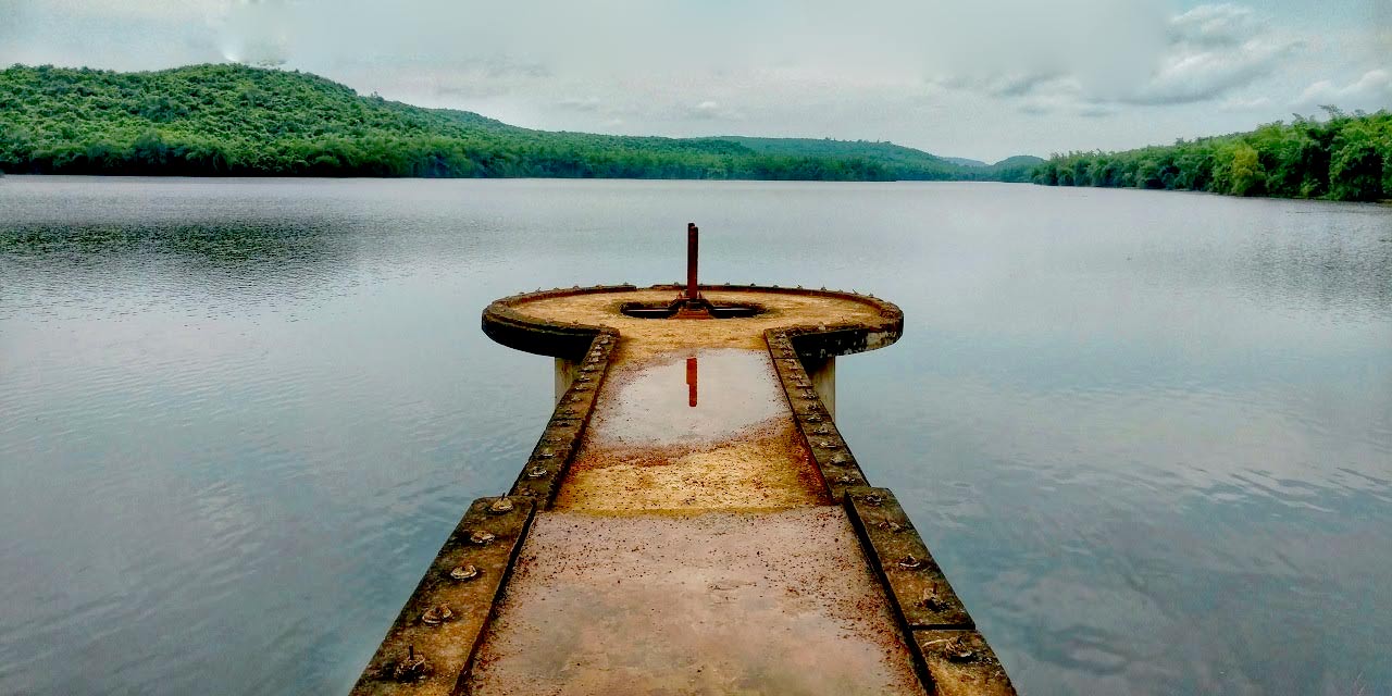 placeimg