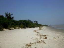 placeimg