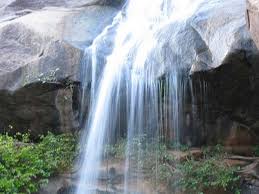 placeimg