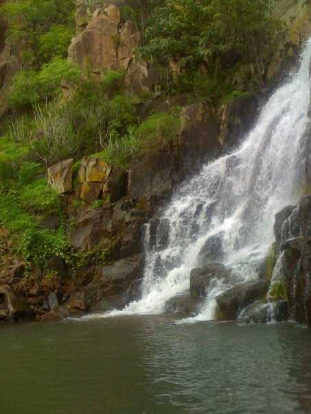 placeimg