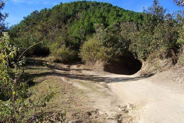 placeimg
