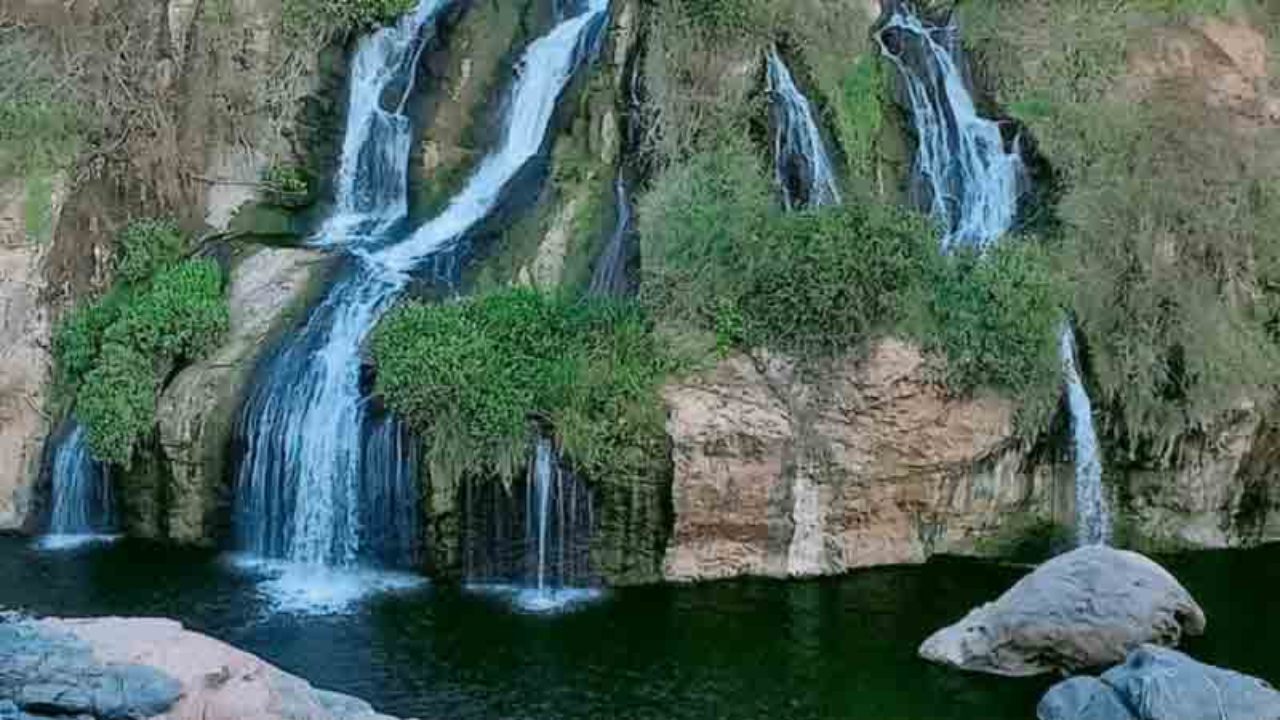 placeimg