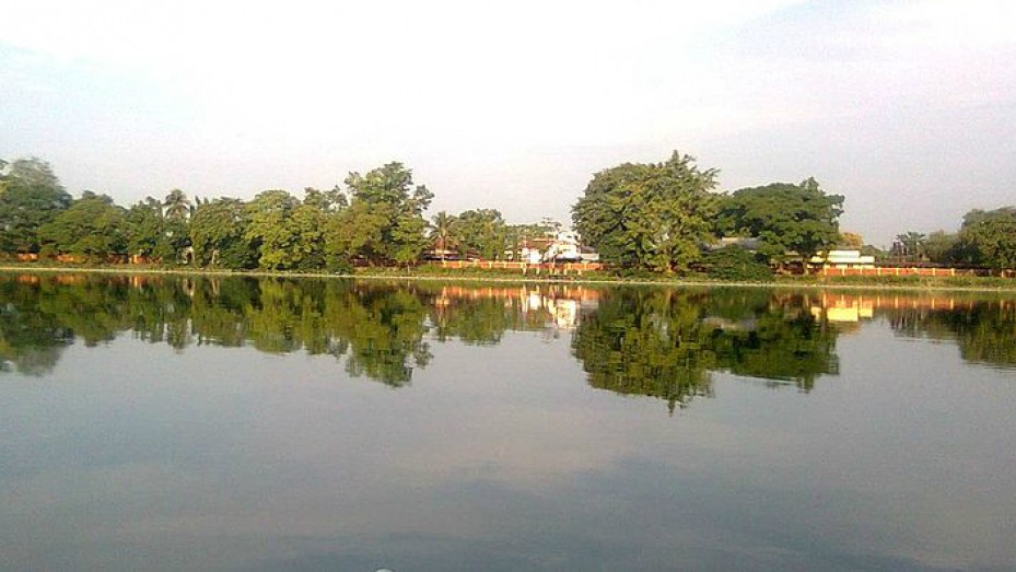 placeimg