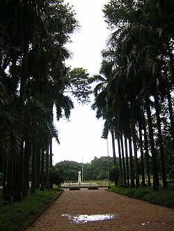 placeimg
