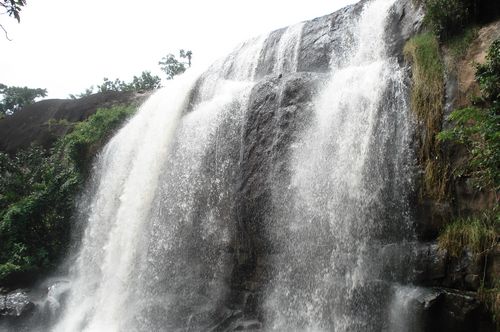 placeimg