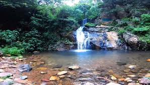 placeimg