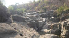 placeimg