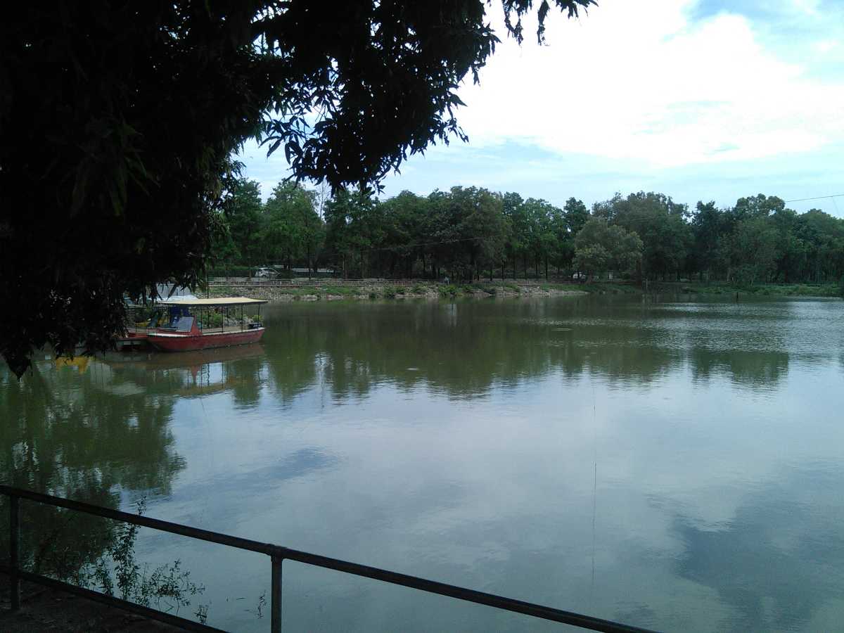placeimg