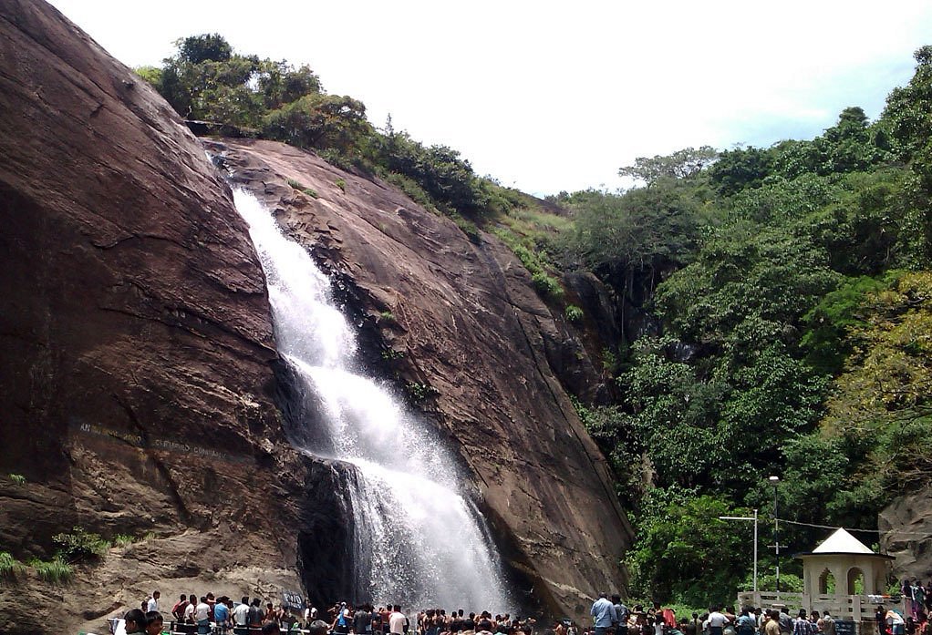 placeimg